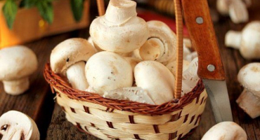 Jak správně loupat houby?